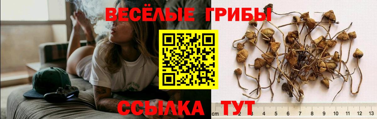 Галлюциногенные грибы GOLDEN TEACHER  Вход с VPN  Краснотурьинск 