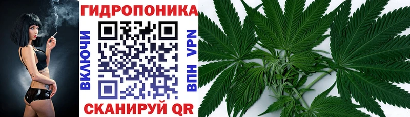 купить наркотик  Краснотурьинск  darknet Telegram  Канабис семена 