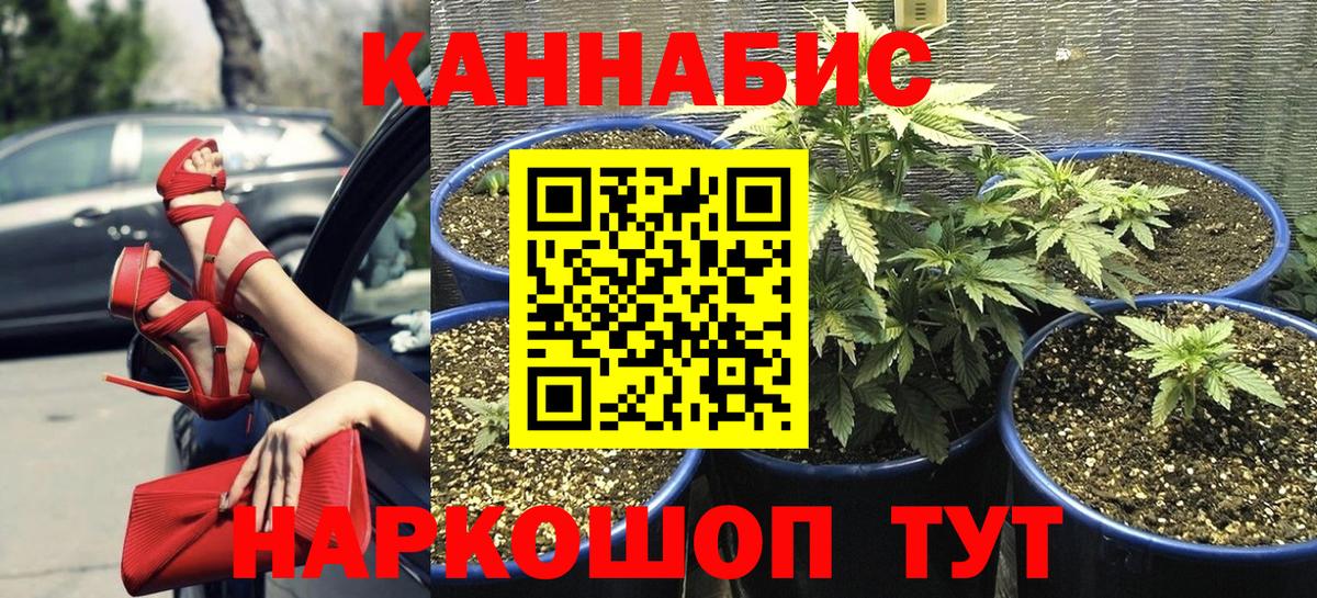 Краснотурьинск  МАРИХУАНА конопля  Бошки марихуана конопля  Вход с VPN 